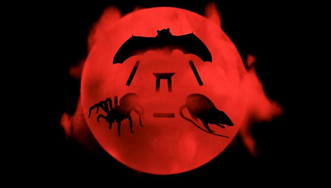 3 Forces Animals Spider Bat Rat Kung Fu Imperial