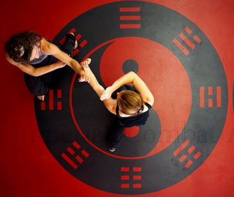 Picture Pa Kua Chang, Baguazhang, 八卦掌