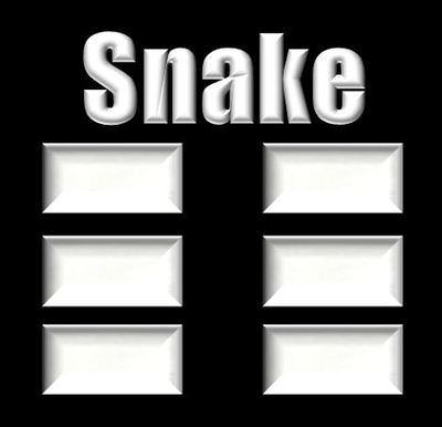 Snake Kung Fu Kun Trigram