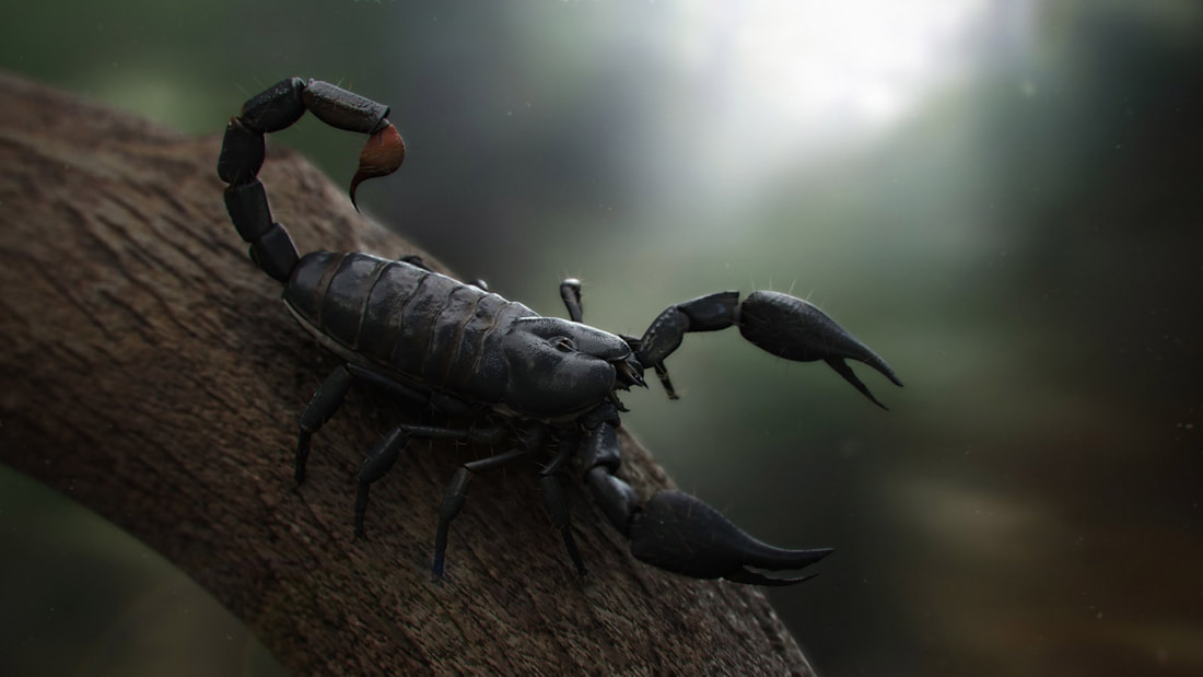 Scorpion Kung Fu