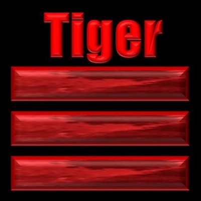 Tiger Kung Fu Qian Trigram